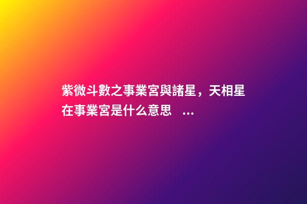 紫微斗數之事業宮與諸星，天相星在事業宮是什么意思？